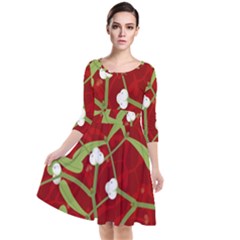 Mistletoe Christmas Texture Advent Quarter Sleeve Waist Band Dress by Hannah976