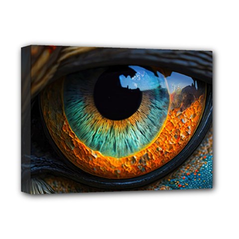 Eye Bird Feathers Vibrant Deluxe Canvas 16  X 12  (stretched) 