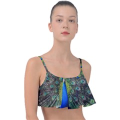 Peacock Bird Feathers Pheasant Nature Animal Texture Pattern Frill Bikini Top by Bedest