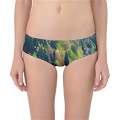 Forest Trees Leaves Fall Autumn Nature Sunshine Classic Bikini Bottoms by Ravend