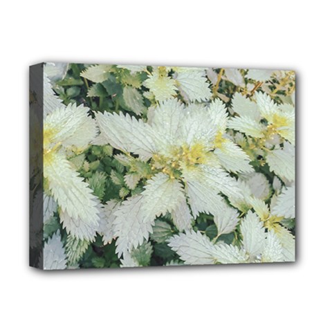 Enchanting Foliage Sharp Edged Leaves In Pale Yellow And Silver Bk Deluxe Canvas 16  X 12  (stretched)  by dflcprintsclothing