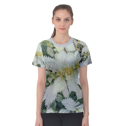 Enchanting Foliage Sharp Edged Leaves In Pale Yellow And Silver Bk Women s Sport Mesh T-shirt by dflcprintsclothing