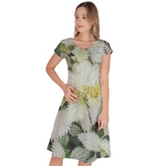 Enchanting Foliage Sharp Edged Leaves In Pale Yellow And Silver Bk Classic Short Sleeve Dress by dflcprintsclothing