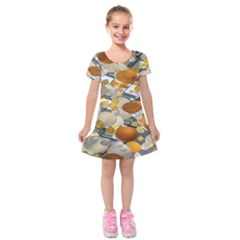 Ballon Classroom Kids  Short Sleeve Velvet Dress by Azkajaya