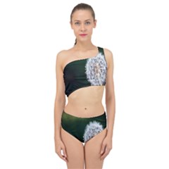 White Flower Spliced Up Two Piece Swimsuit