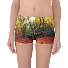 Forest Woods Autumn Nature Reversible Boyleg Bikini Bottoms