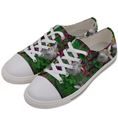 Illustrations Color Cat Flower Abstract Textures Men s Low Top Canvas Sneakers