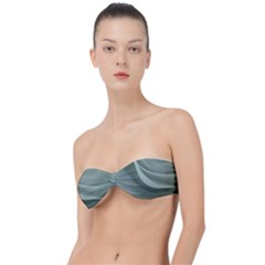 Silky Sage Abstract Elegant Print Design Classic Bandeau Bikini Top 