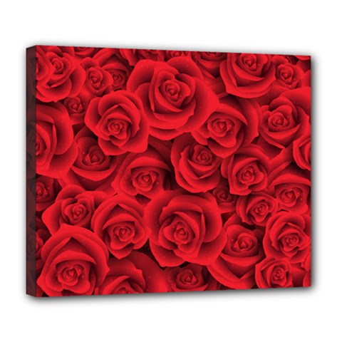 Red Roses , Red Buds, Red Roses Deluxe Canvas 24  X 20  (stretched)