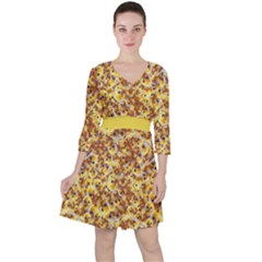 Whimsy Chickens Pattern (ai) Quarter Sleeve Ruffle Waist Dress