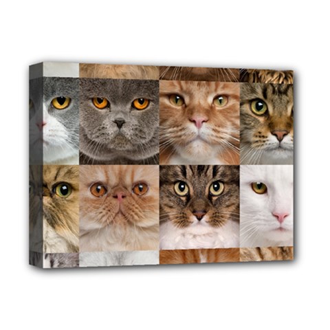 Breeds Of Cats Collage Deluxe Canvas 16  X 12  (stretched) 