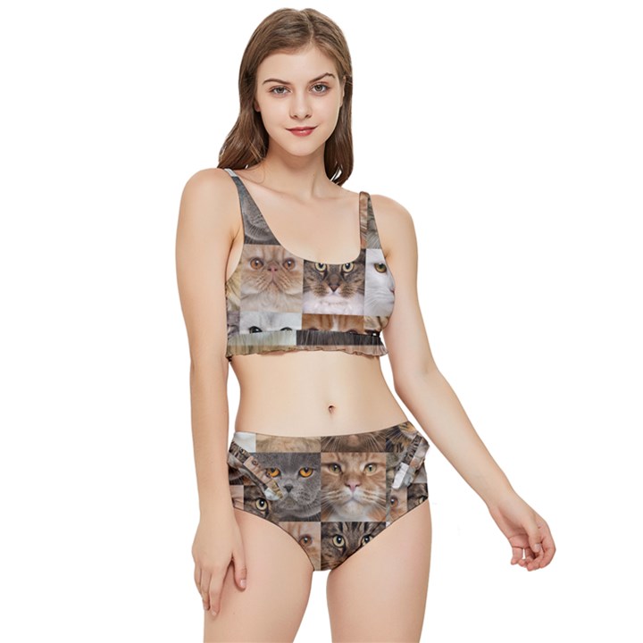 Breeds Of Cats Collage Frilly Bikini Set