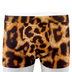 Leopard Skin Texture Macro, Brown Men s Boxer Briefs by kyorashop23