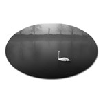 swan Large Sticker Magnet (Oval) Front