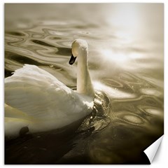 Swan 16  X 16  Unframed Canvas Print by artposters