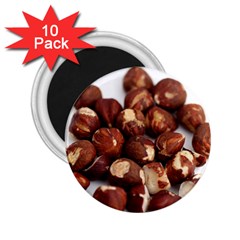 Hazelnuts 2 25  Button Magnet (10 Pack) by hlehnerer