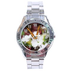 Butterfly 159 Stainless Steel Watch (men s) by pictureperfectphotography