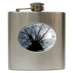 An Old Tree Hip Flask by natureinmalaysia