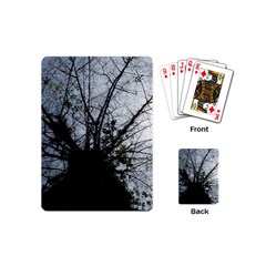 An Old Tree Playing Cards (mini) by natureinmalaysia
