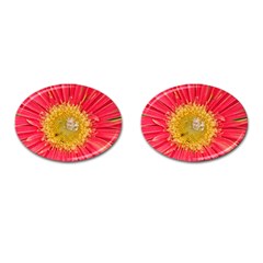 A Red Flower Cufflinks (oval) by natureinmalaysia