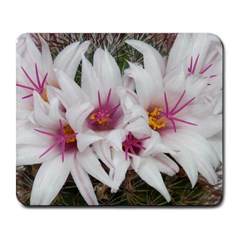Bloom Cactus  Large Mouse Pad (rectangle)