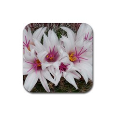 Bloom Cactus  Drink Coaster (square) by ADIStyle