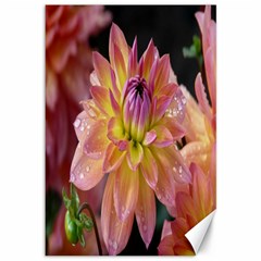 Dahlia Garden  Canvas 12  X 18  (unframed) by ADIStyle