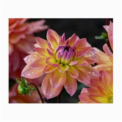 Dahlia Garden  Glasses Cloth (small, Two Sided)