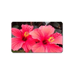 Red Hibiscus Magnet (name Card)