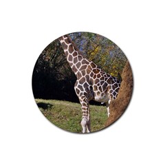 Giraffe Drink Coaster (round) by plindlau