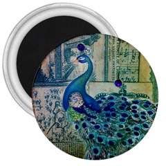 French Scripts Vintage Peacock Floral Paris Decor 3  Button Magnet by chicelegantboutique