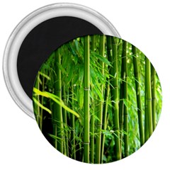 Bamboo 3  Button Magnet by Siebenhuehner