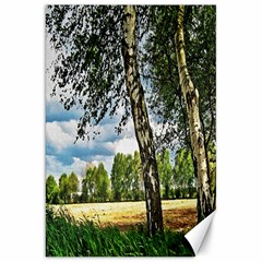 Trees Canvas 20  X 30  (unframed) by Siebenhuehner