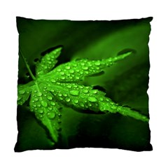 Leaf With Drops Cushion Case (two Sided)  by Siebenhuehner
