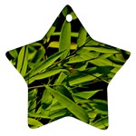 Bamboo Star Ornament (Two Sides) Back