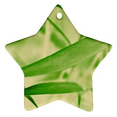 Bamboo Star Ornament by Siebenhuehner