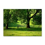 Trees A4 Sticker 10 Pack