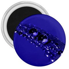 Waterdrops 3  Button Magnet by Siebenhuehner
