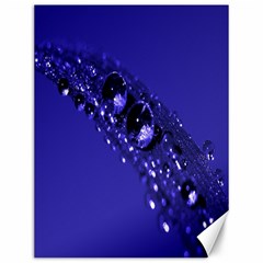 Waterdrops Canvas 12  X 16  (unframed) by Siebenhuehner