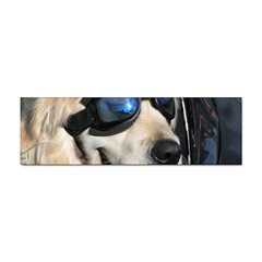 Cool Dog  Bumper Sticker 100 Pack by Siebenhuehner
