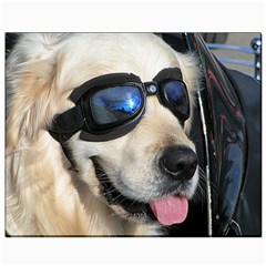 Cool Dog  Canvas 8  X 10  (unframed)