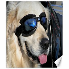 Cool Dog  Canvas 20  X 24  (unframed) by Siebenhuehner