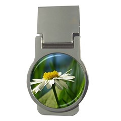 Daisy Money Clip (round) by Siebenhuehner