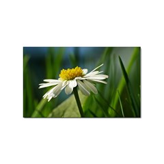 Daisy Sticker 100 Pack (rectangle) by Siebenhuehner