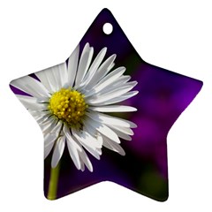 Daisy Star Ornament by Siebenhuehner