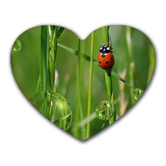 Ladybird Mouse Pad (heart) by Siebenhuehner