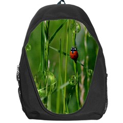 Ladybird Backpack Bag by Siebenhuehner