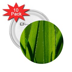 Grass 2 25  Button (10 Pack) by Siebenhuehner