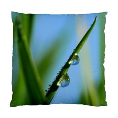 Waterdrops Cushion Case (single Sided)  by Siebenhuehner