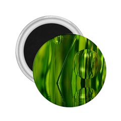 Green Bubbles  2 25  Button Magnet by Siebenhuehner